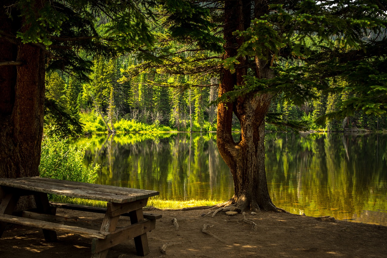 The Untouched Beauty of the United States’ Sequoia National Park